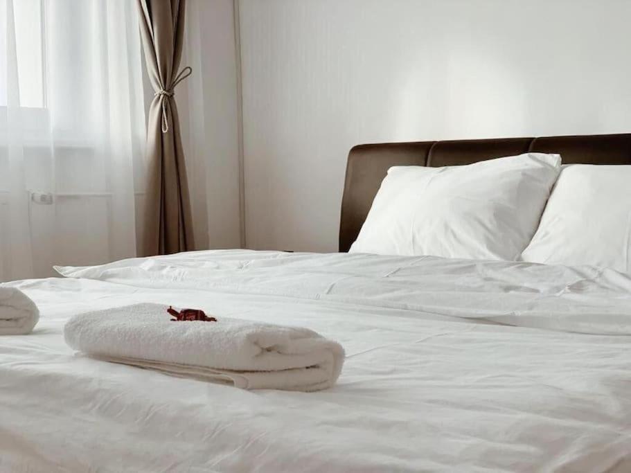 טימישוארה Joy City Stay Victoriei 7E-30 2 מראה חיצוני תמונה